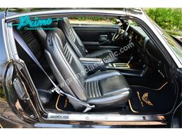 1979 Pontiac Trans Am Comp T/A (CC-2116405) for sale in Lakeland, Florida