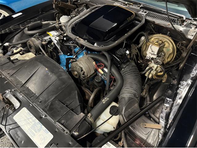 1977 Pontiac Trans Am Comp T/A (CC-2116409) for sale in Lincoln, Nebraska
