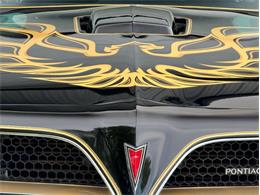 1977 Pontiac Trans Am Comp T/A (CC-2116409) for sale in Lincoln, Nebraska