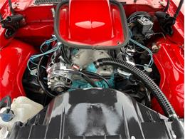 1977 Pontiac Trans Am Comp T/A (CC-2116414) for sale in Largo, Florida