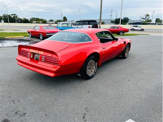 1977 Pontiac Trans Am Comp T/A (CC-2116414) for sale in Largo, Florida