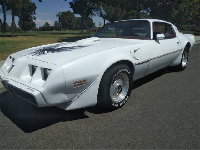 1979 Pontiac Firebird Trans Am (CC-2110648) for sale in Cadillac, Michigan