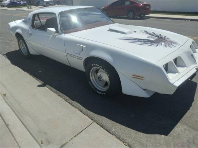 1979 Pontiac Firebird Trans Am (CC-2110648) for sale in Cadillac, Michigan