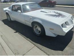 1979 Pontiac Firebird Trans Am (CC-2110648) for sale in Cadillac, Michigan