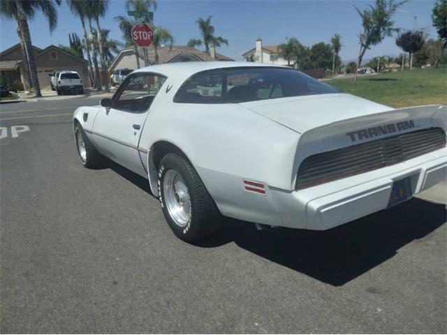 1979 Pontiac Firebird Trans Am (CC-2110648) for sale in Cadillac, Michigan