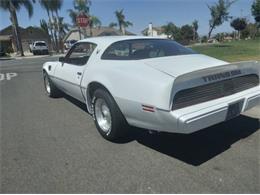 1979 Pontiac Firebird Trans Am (CC-2110648) for sale in Cadillac, Michigan