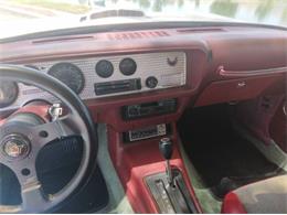 1979 Pontiac Firebird Trans Am (CC-2110648) for sale in Cadillac, Michigan