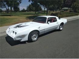 1979 Pontiac Firebird Trans Am (CC-2110648) for sale in Cadillac, Michigan