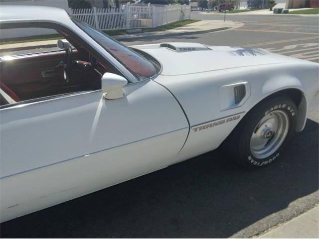 1979 Pontiac Firebird Trans Am (CC-2110648) for sale in Cadillac, Michigan