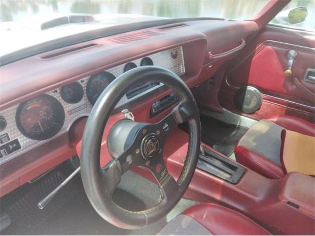 1979 Pontiac Firebird Trans Am (CC-2110648) for sale in Cadillac, Michigan