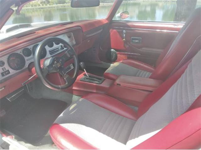1979 Pontiac Firebird Trans Am (CC-2110648) for sale in Cadillac, Michigan