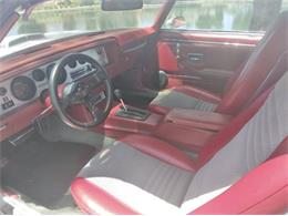 1979 Pontiac Firebird Trans Am (CC-2110648) for sale in Cadillac, Michigan