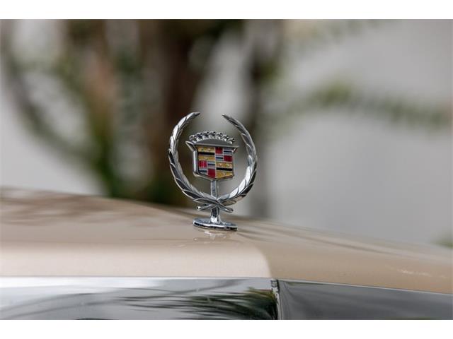 1994 Cadillac Fleetwood Brougham (CC-2116518) for sale in Orlando, Florida