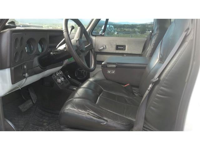 1976 Chevrolet Silverado (CC-2110652) for sale in Cadillac, Michigan