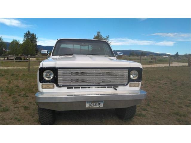1976 Chevrolet Silverado (CC-2110652) for sale in Cadillac, Michigan