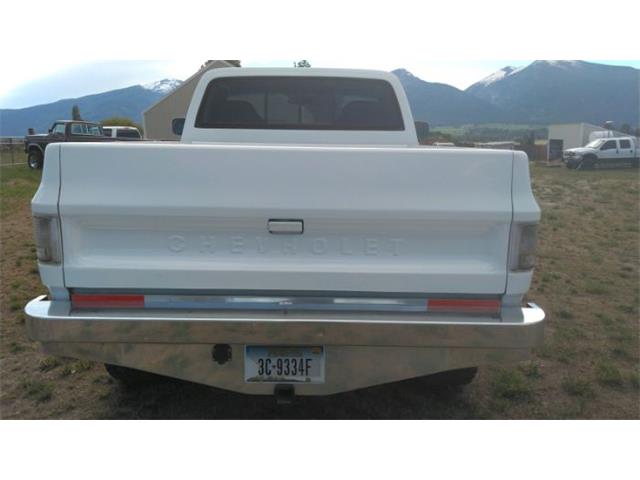1976 Chevrolet Silverado (CC-2110652) for sale in Cadillac, Michigan