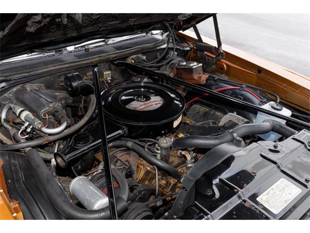 1972 Oldsmobile Vista Cruiser (CC-2116524) for sale in Orlando, Florida