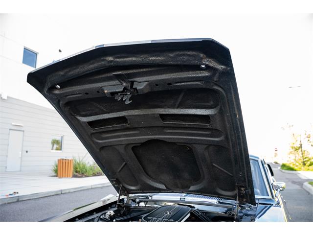 1967 Shelby GT500 (CC-2116557) for sale in Sarasota, Florida