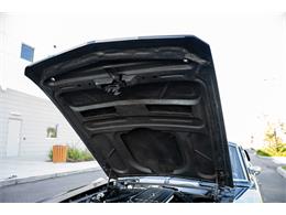 1967 Shelby GT500 (CC-2116557) for sale in Sarasota, Florida