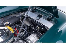 2024 Superformance Cobra (CC-2116569) for sale in Las Vegas, Nevada