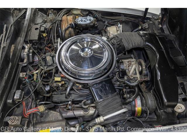 1981 Chevrolet Corvette (CC-2116587) for sale in Kentwood, Michigan