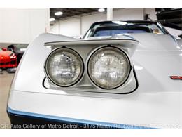 1981 Chevrolet Corvette (CC-2116587) for sale in Kentwood, Michigan