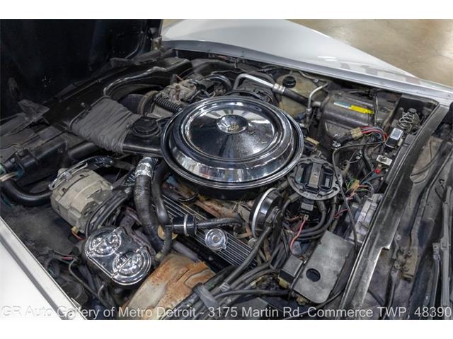 1981 Chevrolet Corvette (CC-2116587) for sale in Kentwood, Michigan