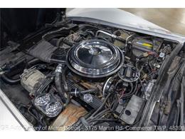 1981 Chevrolet Corvette (CC-2116587) for sale in Kentwood, Michigan