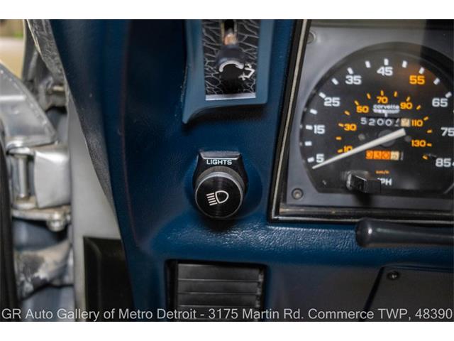 1981 Chevrolet Corvette (CC-2116587) for sale in Kentwood, Michigan