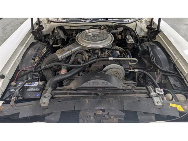 1978 Ford Thunderbird (CC-2116600) for sale in Mankato, Minnesota