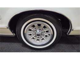 1978 Ford Thunderbird (CC-2116600) for sale in Mankato, Minnesota