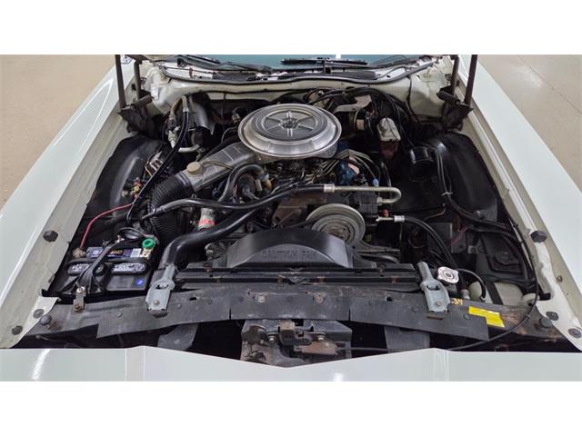 1978 Ford Thunderbird (CC-2116600) for sale in Mankato, Minnesota