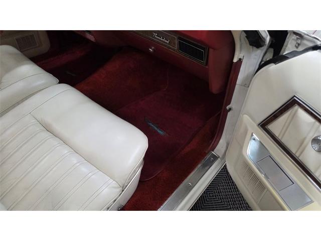 1978 Ford Thunderbird (CC-2116600) for sale in Mankato, Minnesota