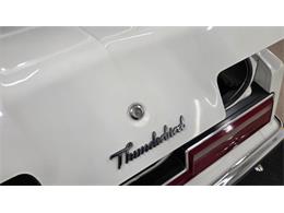 1978 Ford Thunderbird (CC-2116600) for sale in Mankato, Minnesota