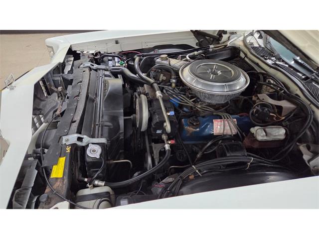 1978 Ford Thunderbird (CC-2116600) for sale in Mankato, Minnesota