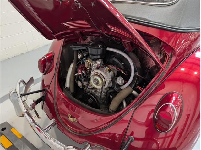 1964 Volkswagen Beetle (CC-2116615) for sale in Greensboro, North Carolina