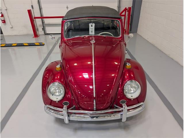 1964 Volkswagen Beetle (CC-2116615) for sale in Greensboro, North Carolina