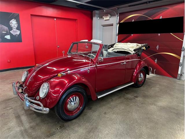 1964 Volkswagen Beetle (CC-2116615) for sale in Greensboro, North Carolina