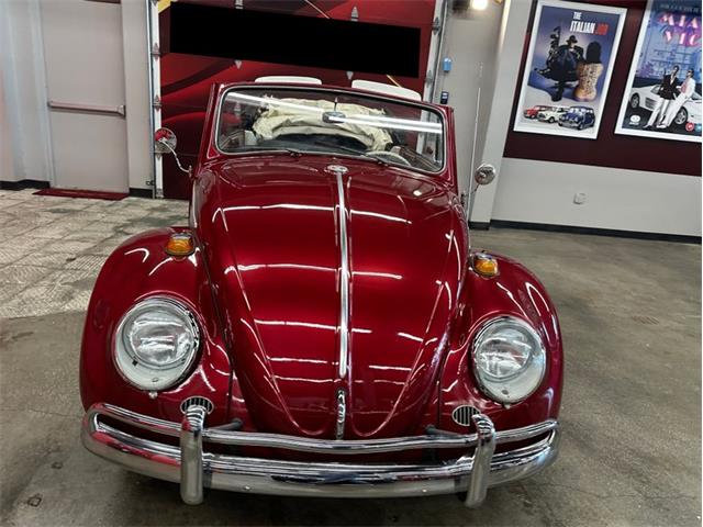 1964 Volkswagen Beetle (CC-2116615) for sale in Greensboro, North Carolina
