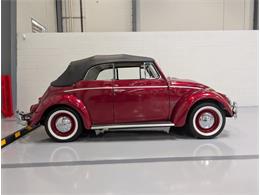 1964 Volkswagen Beetle (CC-2116615) for sale in Greensboro, North Carolina