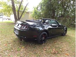 2013 Ford Mustang (CC-2116616) for sale in Greensboro, North Carolina