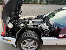 1995 Chevrolet Corvette (CC-2116674) for sale in Newfield, New Jersey