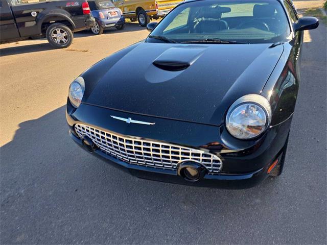 2002 Ford Thunderbird (CC-2116695) for sale in Spirit Lake, Iowa