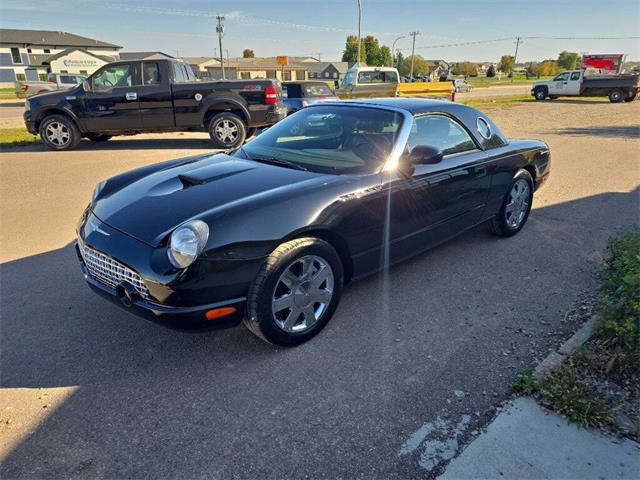 2002 Ford Thunderbird (CC-2116695) for sale in Spirit Lake, Iowa