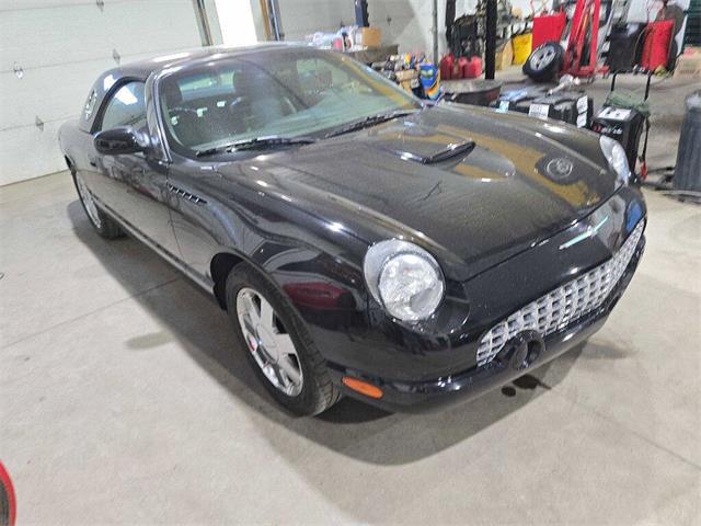 2002 Ford Thunderbird (CC-2116695) for sale in Spirit Lake, Iowa