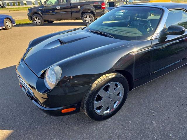 2002 Ford Thunderbird (CC-2116695) for sale in Spirit Lake, Iowa