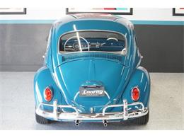 1965 Volkswagen Beetle (CC-2116712) for sale in Portland, Oregon