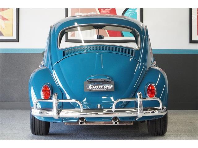 1965 Volkswagen Beetle (CC-2116712) for sale in Portland, Oregon