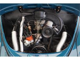 1965 Volkswagen Beetle (CC-2116712) for sale in Portland, Oregon
