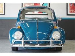 1965 Volkswagen Beetle (CC-2116712) for sale in Portland, Oregon